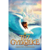 Maxim Aisling Fowler - A tűz gyermeke - Főnix és a Jégpalota