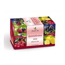 MECSEK GYÜMÖLCSTEA MIX 2 gyógytea