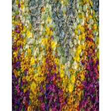  MÉDIA fali tapéta, öntapadó és mosható, növényvilág 65, 135 x 225 cm tapéta, díszléc és más dekoráció