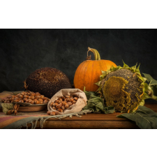  MÉDIA fali tapéta, öntapadó és mosható, rusztikus elrendezés, 220 x 135 cm tapéta, díszléc és más dekoráció