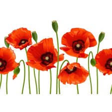  MÉDIA Flori26 Tapéta, 270 x 200 cm tapéta, díszléc és más dekoráció