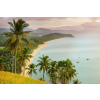  MÉDIA fotótapéta matrica, Tengerpart pálmafákkal, 220 x 135 cm