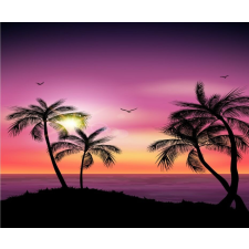  MÉDIA Fotótapéta, Pálmafák 4, 270 x 200 cm tapéta, díszléc és más dekoráció