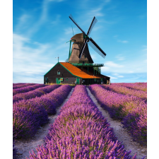  MÉDIA Lavanda8 matrica fotótapéta, 135 x 225 cm tapéta, díszléc és más dekoráció