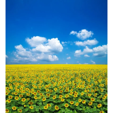  MÉDIA Natura104 Vászonfestmény, 90 x 90 cm grafika, keretezett kép