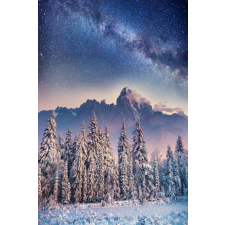  MÉDIA Natura111 Fotótapéta, öntapadó és mosható, 135 x 225 cm tapéta, díszléc és más dekoráció