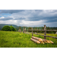  MÉDIA Natura156 Tapéta, Rét és erdő, 270 x 200 cm tapéta, díszléc és más dekoráció