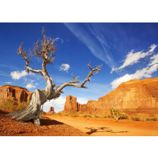  MÉDIA Natura173 Arizona - Grand Canyon öntapadós tapéta, 270 x 200 cm tapéta, díszléc és más dekoráció