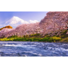  MÉDIA Natura34 vászonfestmény, 105 x 70 cm grafika, keretezett kép