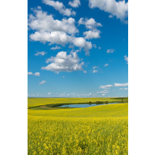  MÉDIA Natura35 öntapadó és mosható fali tapéta, 135 x 225 cm tapéta, díszléc és más dekoráció