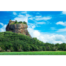  MÉDIA Natura40 öntapadó és mosható fali tapéta, 220 x 135 cm tapéta, díszléc és más dekoráció