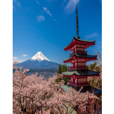  Média Natura45 tapéta, 135 x 225 cm tapéta, díszléc és más dekoráció