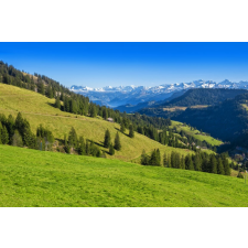  Média Natura 135 öntapadó és mosható fali tapéta, 270 x 200 cm tapéta, díszléc és más dekoráció