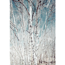  MÉDIA Nyírerdő öntapadós tapéta, 135 x 225 cm tapéta, díszléc és más dekoráció