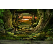  Media Nyomtatott tapéta, alagút az erdőn keresztül, 220 x 135 cm tapéta, díszléc és más dekoráció