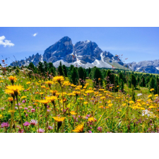  Media Nyomtatott tapéta, hegyi tájkép, 220 x 135 cm tapéta, díszléc és más dekoráció