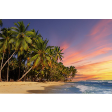  Media Nyomtatott tapéta, naplemente pálmafákkal, 270 x 200 cm tapéta, díszléc és más dekoráció