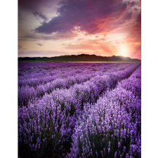  MÉDIA öntapadó és mosható fali fotótapéta, Levendula, 135 x 225 cm tapéta, díszléc és más dekoráció