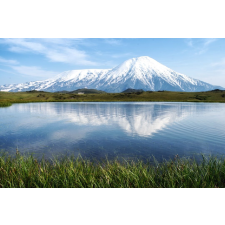  Média öntapadó és mosható fali tapéta, Natura75, 220 x 135 cm tapéta, díszléc és más dekoráció