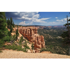  MÉDIA Öntapadó és mosható fotótapéta, 270 x 200 cm, Természet 120 tapéta, díszléc és más dekoráció