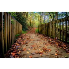  MÉDIA öntapadós tapéta, híd az erdőben, 220 x 135 cm tapéta, díszléc és más dekoráció