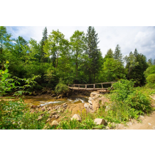  MÉDIA Padure66 matrica fotótapéta, híddal, 270 x 200 cm tapéta, díszléc és más dekoráció