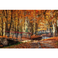  Média Padure67 vászonfestmény, őszi híd, 105 x 70 cm grafika, keretezett kép