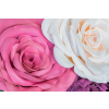  Media "Virágok 164" fotótapéta, Rózsaszín és fehér rózsák, 200 x 255 cm