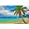  Média Strand pálmafával tapéta, 220 x 135 cm