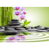  MÉDIA tapéta, bazalt kövek, orchideák, bambusz, zen, 270 x 200 cm