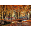 MÉDIA tapéta, erdő 67 híd ősszel, 270 x 200 cm