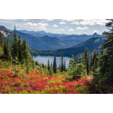  MÉDIA tapéta, növényvilág 153 virágok, tó, hegyek modell, 270 x 200 cm tapéta, díszléc és más dekoráció