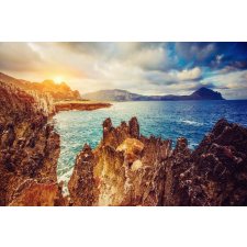  MÉDIA tapéta, természet 127, 220 x 135 cm tapéta, díszléc és más dekoráció