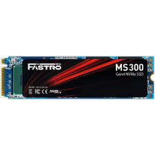Mega Fastro MegaFastro SSD   1TB  MS300 Series PCI-Express NVMe intern retail (MS300100TTI) merevlemez