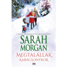 Megtalállak Karácsonykor regény