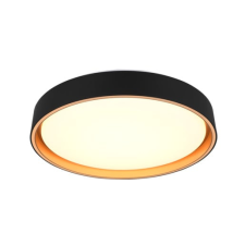  Mennyezeti lámpa Reality Felis fekete R64391080 világítás