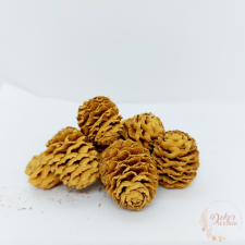  Meridianum - falfestékes narancs dekorációs kellék