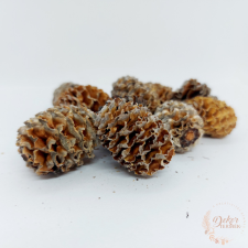  Meridianum - natúr dekorációs kellék