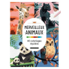  Merveilleux animaux : 40 coloriages mystère