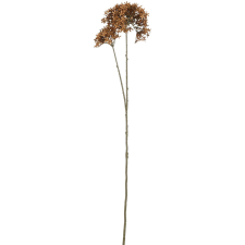 Mica Decorations Calotropis Gigantea művirág 70 cm x 18 cm x 10 cm barna dekoráció