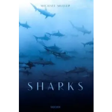  Michael Muller. Sharks idegen nyelvű könyv