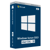 Microsoft Windows Server 2019 User CAL (10) [RDS]