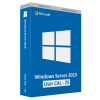 Microsoft Windows Server 2019 User CAL (25)