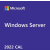Microsoft Windows Server CAL 2022 POL (R18-06455)