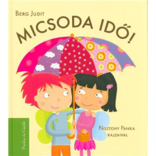  Micsoda idő! /Panka és Csiribi 1. gyermek- és ifjúsági könyv