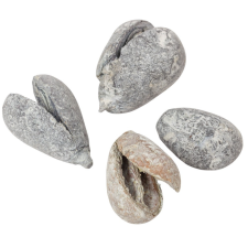  Mike szárított falfestékes mud zöld 22 dkg/csom dekorációs kellék