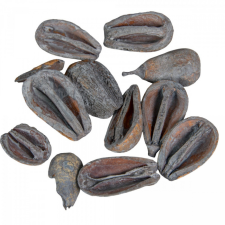  Mike szárított havas szürke 28dkg/csom dekorációs kellék