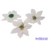  Mikulásvirág bársonyos fej D14cm - Fehér