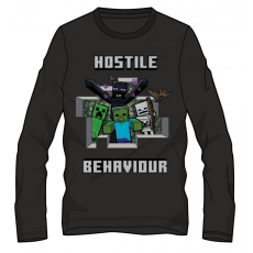 Minecraft gyerek hosszú ujjú póló, felső