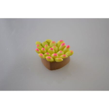  Mini pozsgás növényke db dekoráció